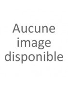 Lits électriques